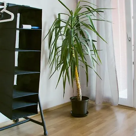 Apartment New